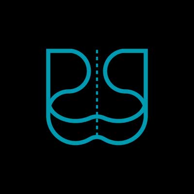 ícone logotipo Dr. Wilian Pires